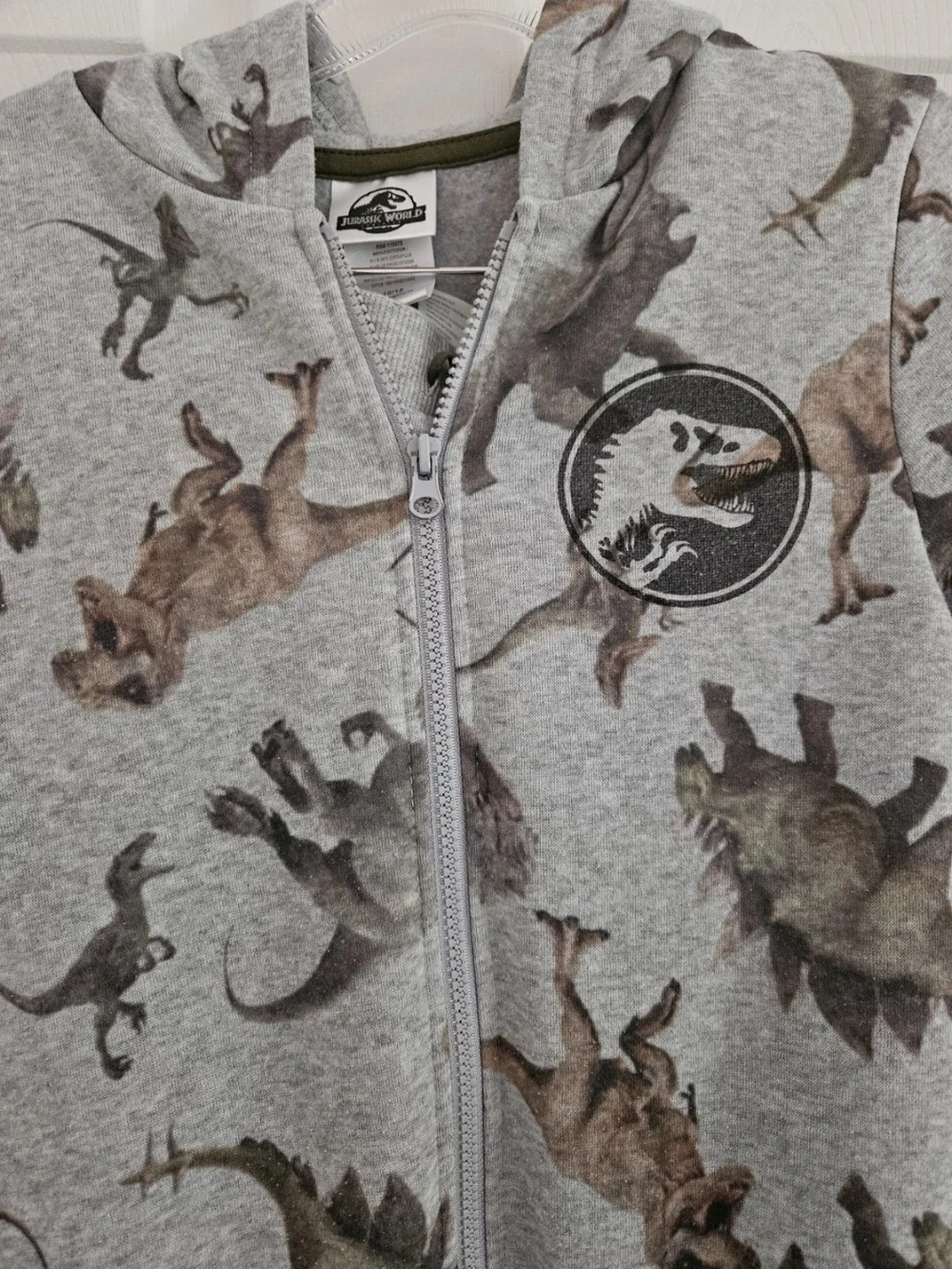 Jurassic-themed Kids Gray Dinosaur Zip Hoodie & Pants  Set